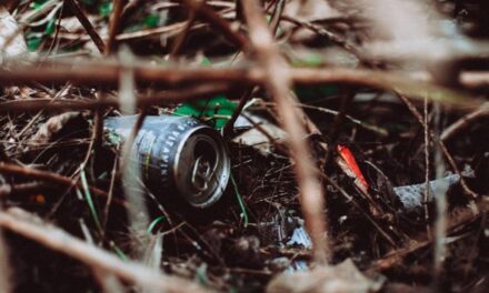 Landmark Ruling: Companies Now on the Hook for Forever Chemical Cleanup