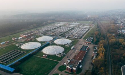 Turning Sewage Into $13.5 Million: The Decade-Long Bet That’s Reshaping Waste