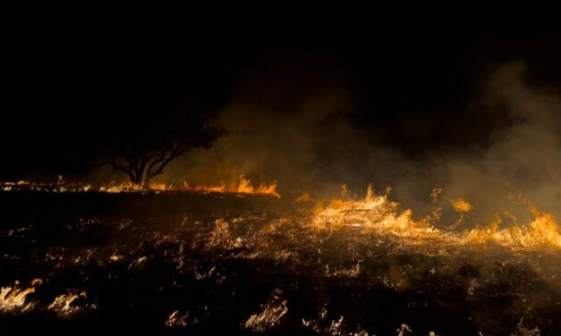 Washington state burns through two-thirds of its annual fire budget in less than a month 