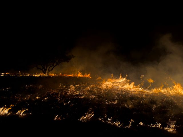 Washington state burns through two-thirds of its annual fire budget in less than a month 