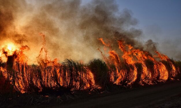 Spokane wildfires force mass evacuations, destroy hundreds of structures