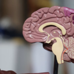 New Alzheimer’s Treatments Could Change How Doctors Detect and Manage the Disease