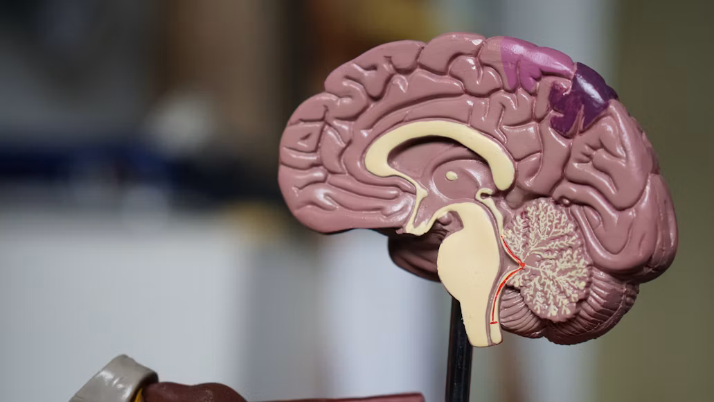New Alzheimer’s Treatments Could Change How Doctors Detect and Manage the Disease
