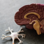 Rising Alzheimer’s Costs Are Driving New Investment in Diagnosis and Treatment