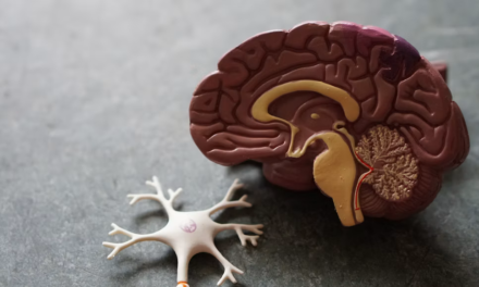 Rising Alzheimer’s Costs Are Driving New Investment in Diagnosis and Treatment