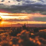 Trump Proposes Rebranding New Mexico to ‘New America’