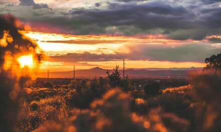 Trump Proposes Rebranding New Mexico to ‘New America’