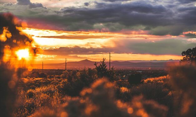 Trump Proposes Rebranding New Mexico to ‘New America’