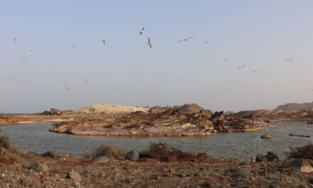 US Strikes Iranian Larak Island Base as Gulf Tensions Flare and Oil Surges Above $90