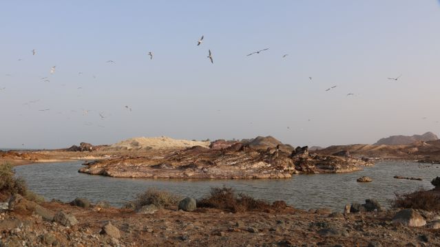 US Strikes Iranian Larak Island Base as Gulf Tensions Flare and Oil Surges Above $90