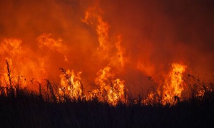 $1B Wildfire Nightmare: Washington Faces 30-Day Deadline to Secure Federal Disaster Relief