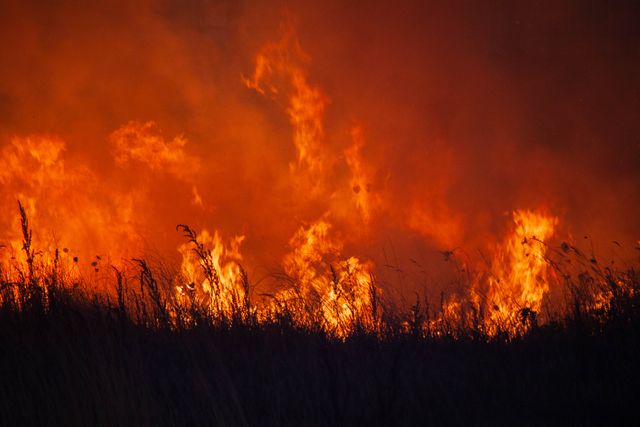 $1B Wildfire Nightmare: Washington Faces 30-Day Deadline to Secure Federal Disaster Relief