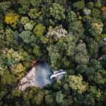 Washington lands commissioner scales back legacy forest conservation target to 55,000 acres