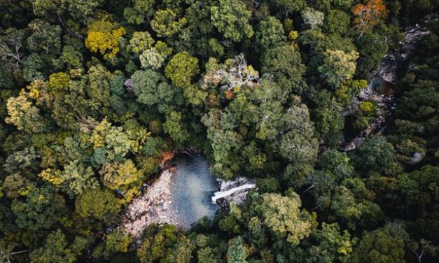 Washington lands commissioner scales back legacy forest conservation target to 55,000 acres