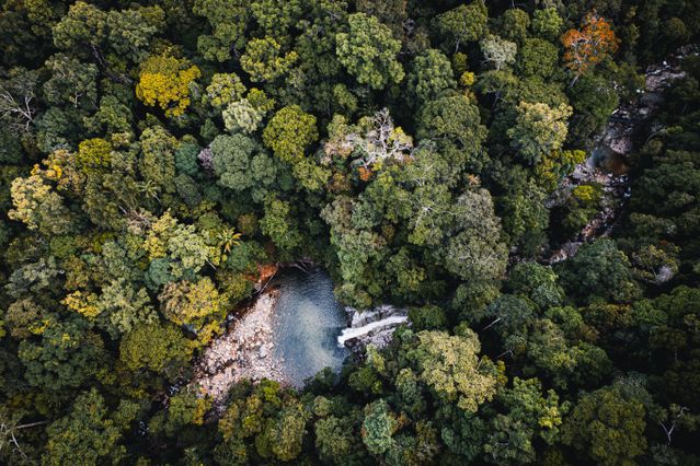 Washington lands commissioner scales back legacy forest conservation target to 55,000 acres