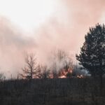 To Stop Mega-Fires, Washington May Let More Prescribed-Burn Smoke Rise
