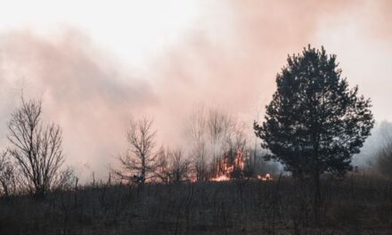 To Stop Mega-Fires, Washington May Let More Prescribed-Burn Smoke Rise