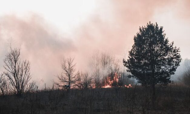 To Stop Mega-Fires, Washington May Let More Prescribed-Burn Smoke Rise