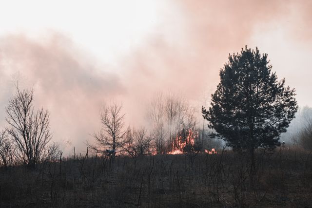 To Stop Mega-Fires, Washington May Let More Prescribed-Burn Smoke Rise