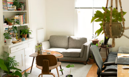 Experts Share Practical Ways to Improve Indoor Air Quality Before Winter