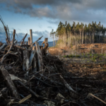 U.S. Supreme Court Considers Whether Oil Companies Should Pay for Climate Damage