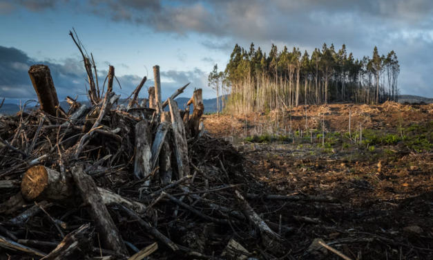 U.S. Supreme Court Considers Whether Oil Companies Should Pay for Climate Damage