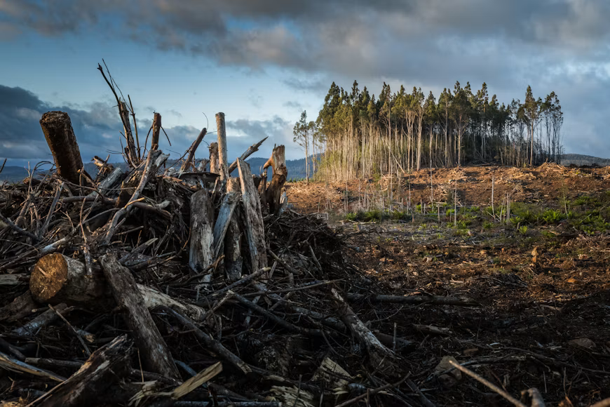 U.S. Supreme Court Considers Whether Oil Companies Should Pay for Climate Damage